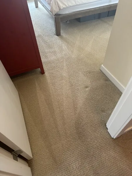Freshly cleaned bedroom carpet drying in a Burnaby apartment