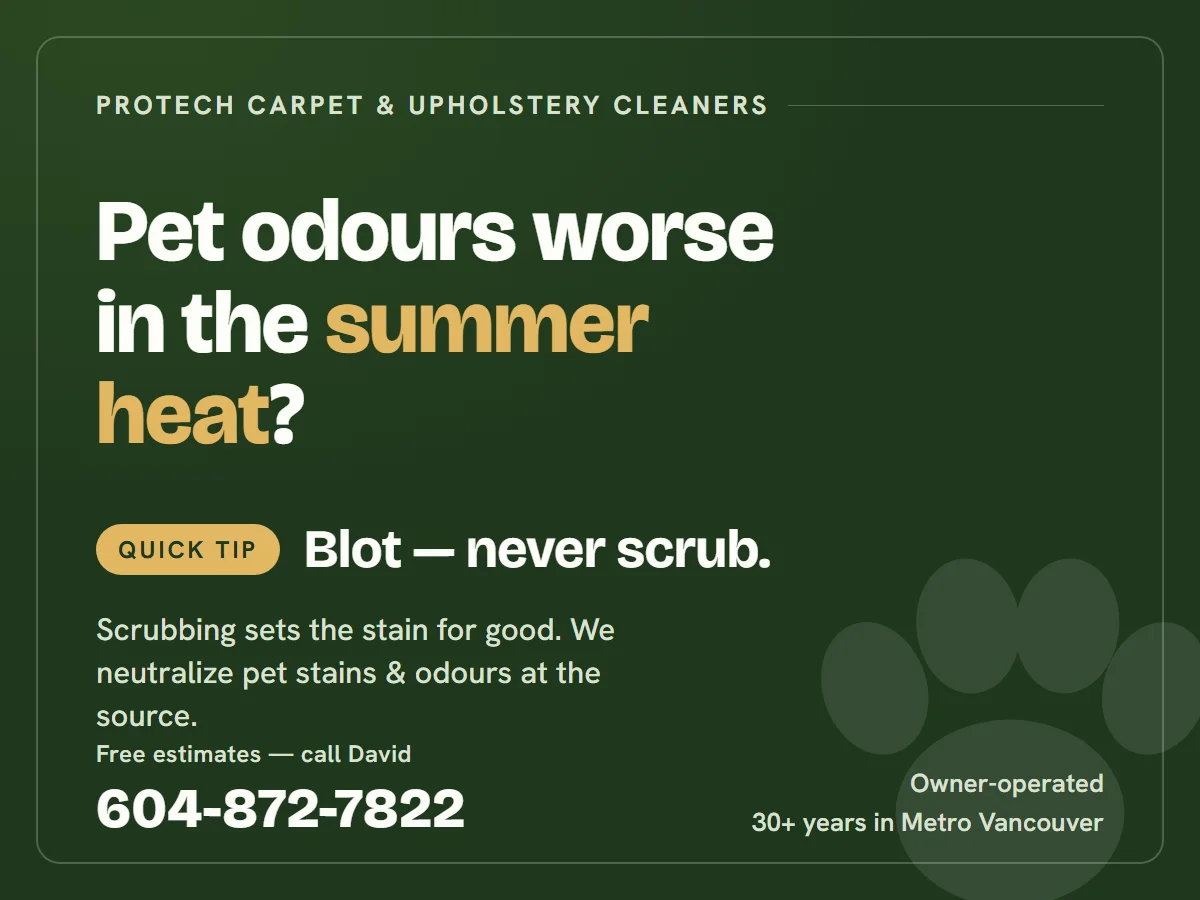 Quick tip: blot pet stains, never scrub — Protech Carpet and Upholstery Cleaners, 604-872-7822